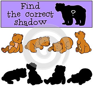 Children games: Find the correct shadow. Little cute baby bears.