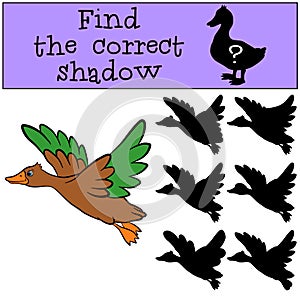 Children games: Find the correct shadow. Little cute duck.