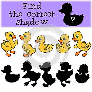 Children games: Find the correct shadow. Little cute ducklings.