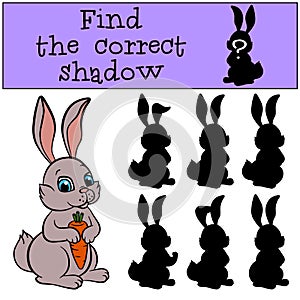 Children games: Find the correct shadow. Little cute hare.