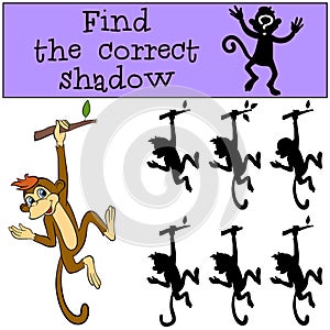 Children games: Find the correct shadow. Little cute monkey.