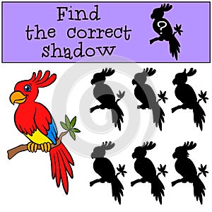 Children games: Find the correct shadow. Little cute parrot.