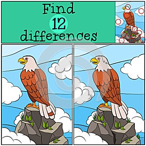 Children games: Find differences. Cute bald eagle sits on the rock.