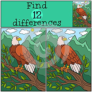 Children games: Find differences. Cute bald eagle sits on the tree branch.