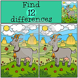 Children games: Find differences. Cute goat.