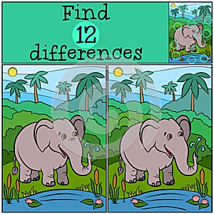 Children games: Find differences. Cute kind elephant.