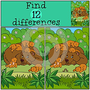 Children games: Find differences. Daddy bear