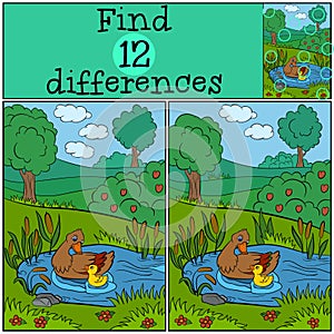 Children games: Find differences. Duck and cute ducklings.