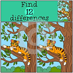 Children games: Find differences. Little cute baby tiger lays in the tree branch. photo
