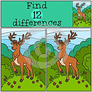 Children games: Find differences. Little cute deer.