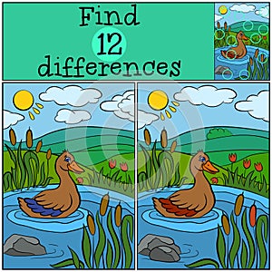 Children games: Find differences. Little cute duck.