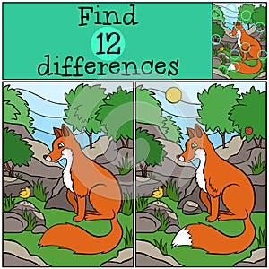 Children games: Find differences. Little cute fox.