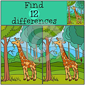 Children games: Find differences. Little cute giraffe.