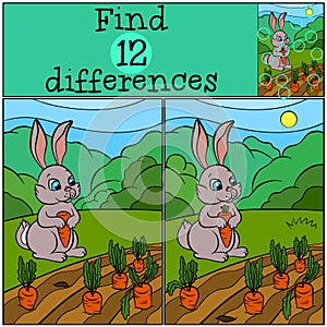 Children games: Find differences. Little cute hare.