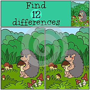 Children games: Find differences. Little cute hedgehog.