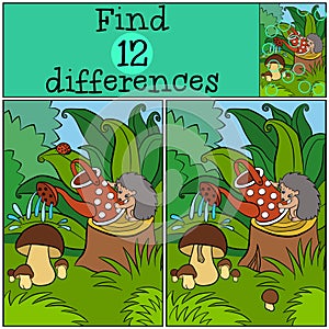 Children games: Find differences. Little cute hedgehog .