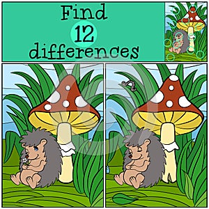 Children games: Find differences. Little cute hedgehog.