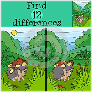 Children games: Find differences. Little cute hedgehog.