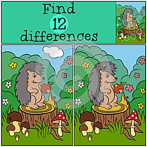 Children games: Find differences. Little cute hedgehog.