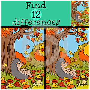 Children games: Find differences. Little cute hedgehog.