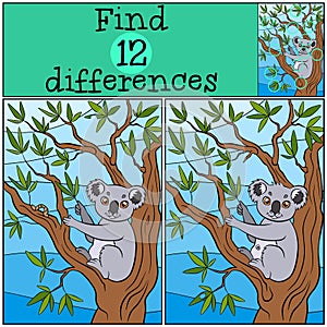 Children games: Find differences. Little cute koala.