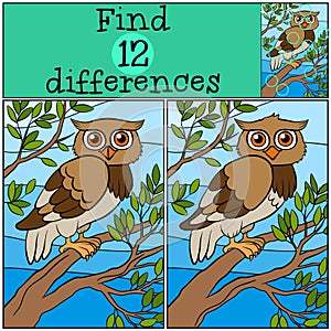 Children games: Find differences. Little cute owl.