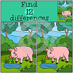 Children games: Find differences. Little cute pig.