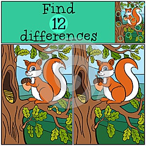 Children games: Find differences. Little cute squirrel.