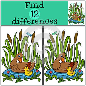 Children games: Find differences. Mother duck swims on the pond with her little cute duckling.