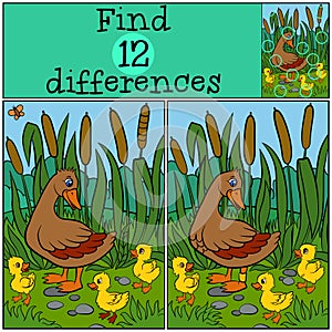 Children games: Find differences. Mother duck walks with her little cute ducklings.