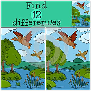 Children games: Find differences. Two little cute duck.