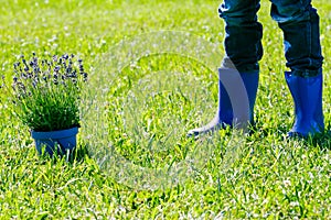 Children gardening. Kids legs and flower pot ready for planting