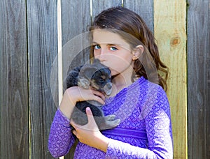 Children girl kissing her puppy chihuahua doggy