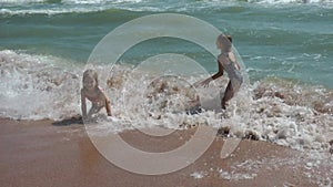 Children of the girl play on the seashore and have fun, swim in the wave. Summer rest and entertainment