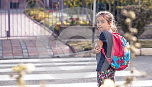 Children go to school, a happy student with a backpack, crosses