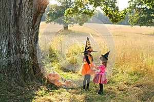 Children on Halloween day play with pumpkins in a field under a tree