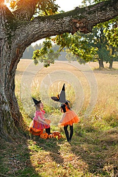 Children in Halloween witch costumes