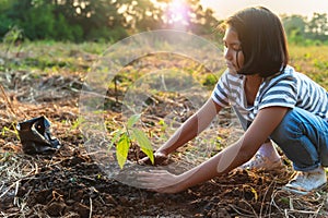 children hand holding small tree for planting in garden. concept