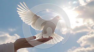 children hands carefully holding and releasing white dove