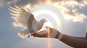 children hands carefully holding and releasing white dove