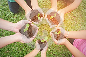 Children hands holding sapling in soil surface with plant photo