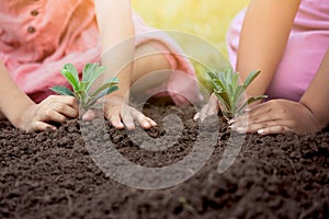 Children hands planting young tree on black soil together
