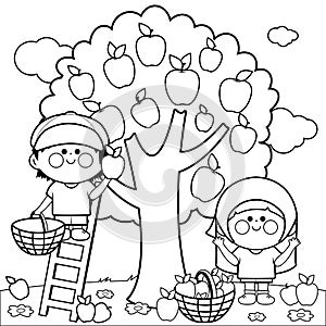 Children picking apples. Vector black and white coloring page.