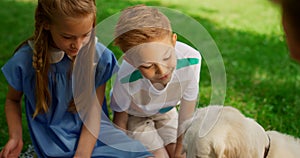 Children have fun with dog on picnic. Cute siblings play with golden retriever.