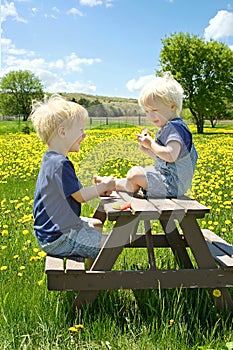 Children Having Fruit Picnic Outside