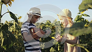 Children having fun in the field with sunflowers in the summer.