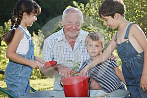 Children is helping her Grandfather in the garden