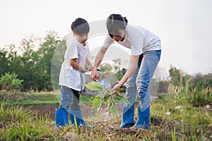 children helping planting tree in garden for save world. eco environment