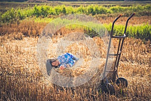 Children helping sweep haystack to pile in rice field of organic farm