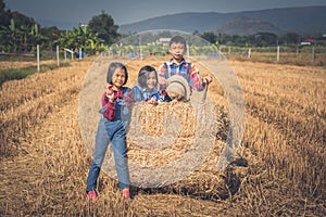 Children helping sweep haystack to pile in rice field of organic farm